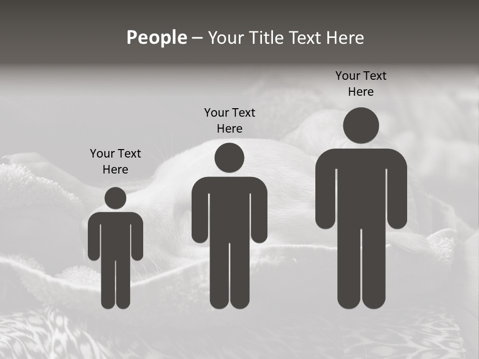 Cute Puppy Home PowerPoint Template