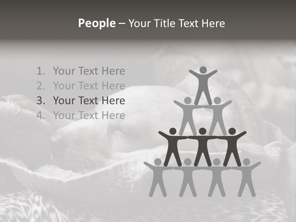 Cute Puppy Home PowerPoint Template