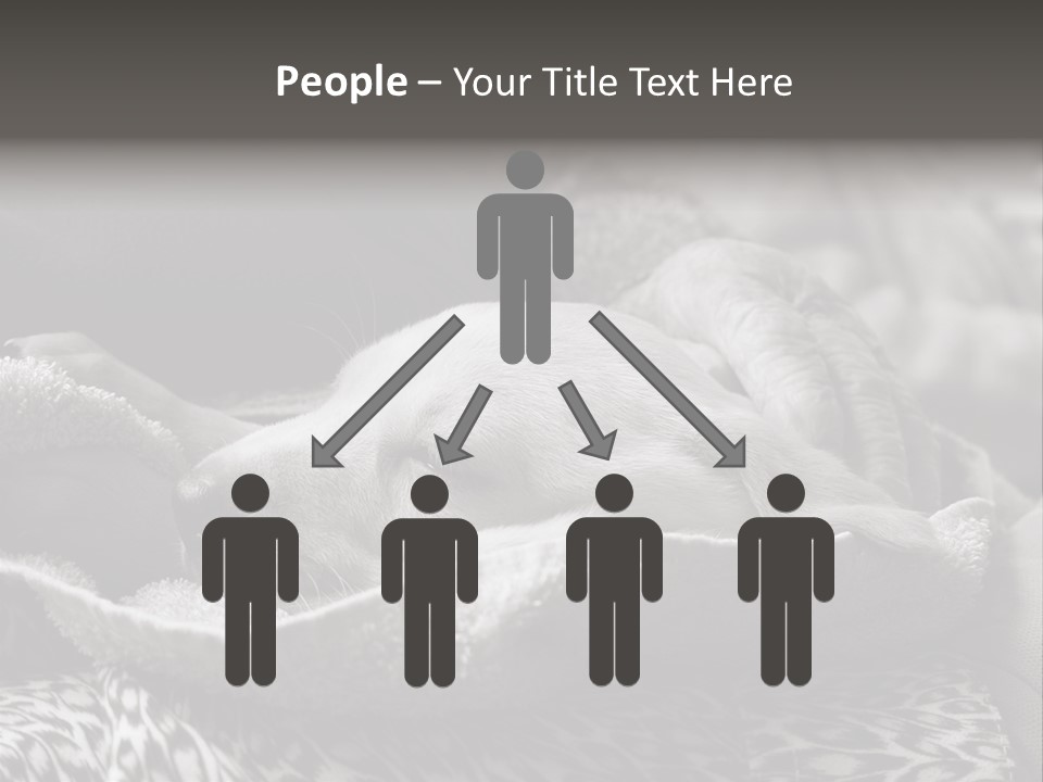 Cute Puppy Home PowerPoint Template