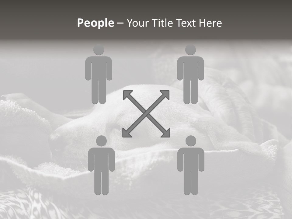 Cute Puppy Home PowerPoint Template