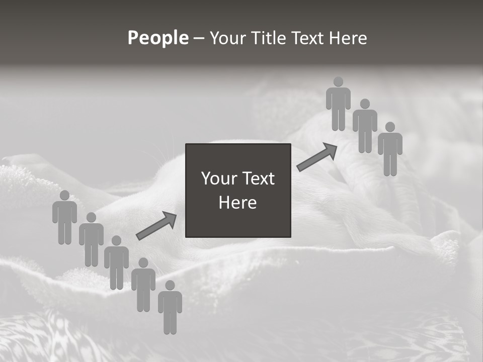 Cute Puppy Home PowerPoint Template