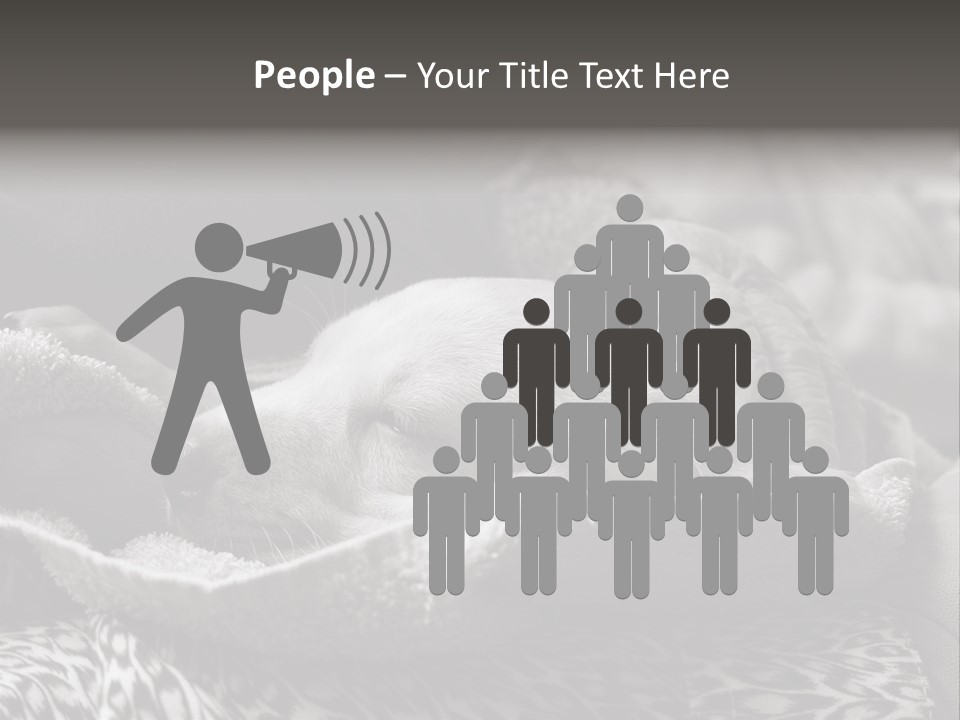 Cute Puppy Home PowerPoint Template