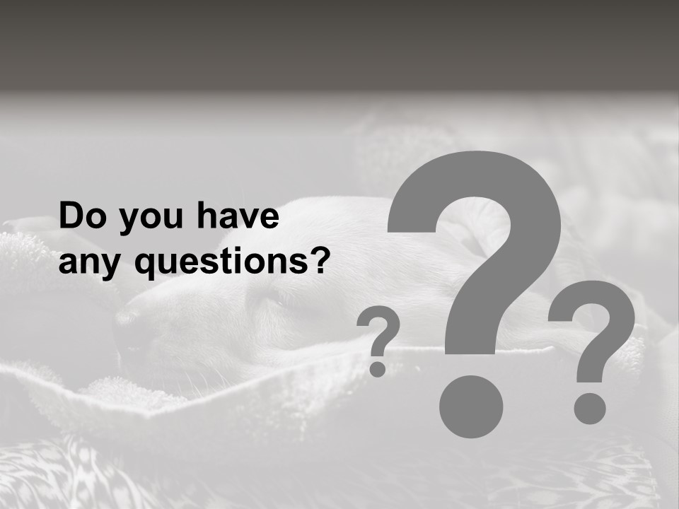 Cute Puppy Home PowerPoint Template