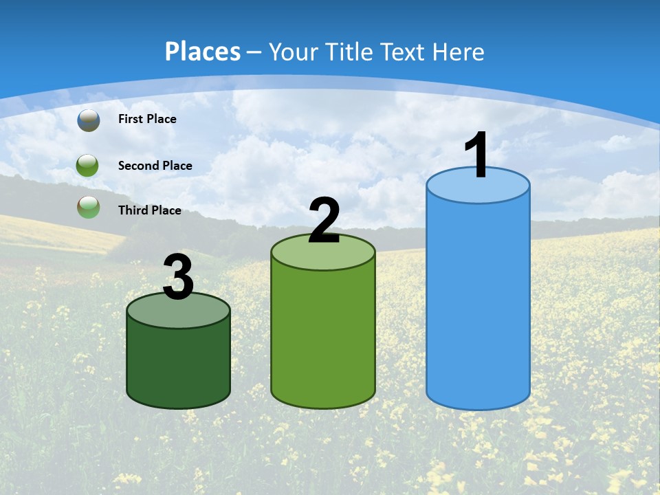 Bloom Colorful Flower PowerPoint Template