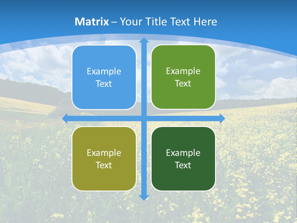 Bloom Colorful Flower PowerPoint Template