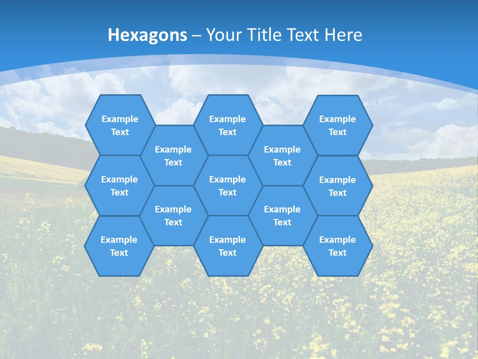 Bloom Colorful Flower PowerPoint Template