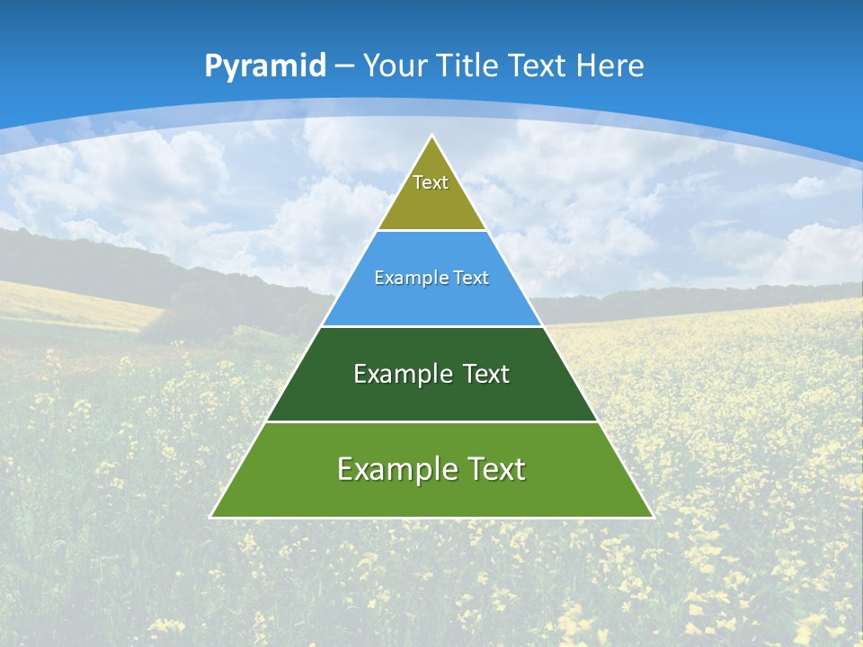 Bloom Colorful Flower PowerPoint Template