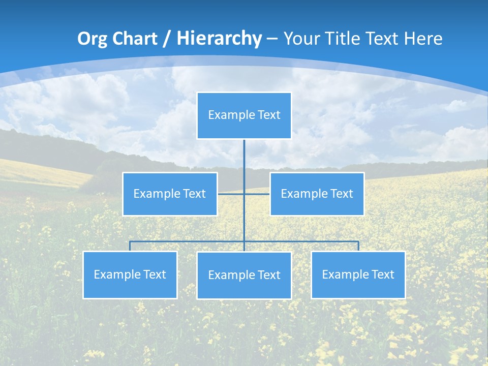 Bloom Colorful Flower PowerPoint Template