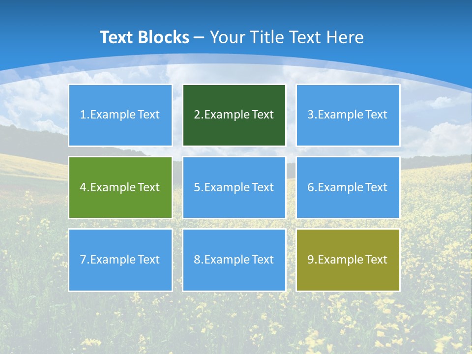 Bloom Colorful Flower PowerPoint Template