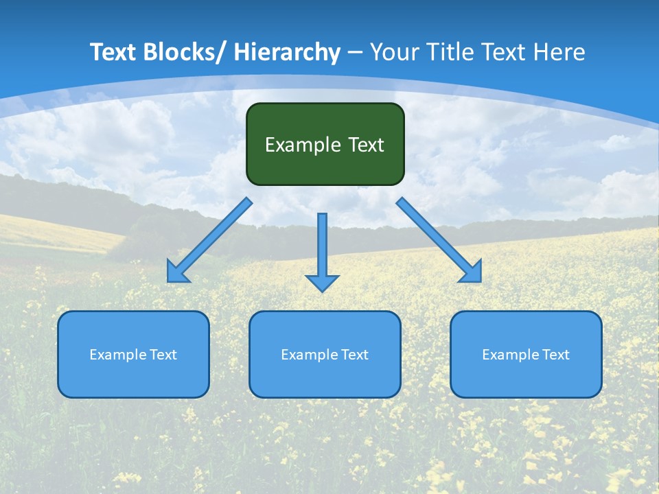 Bloom Colorful Flower PowerPoint Template