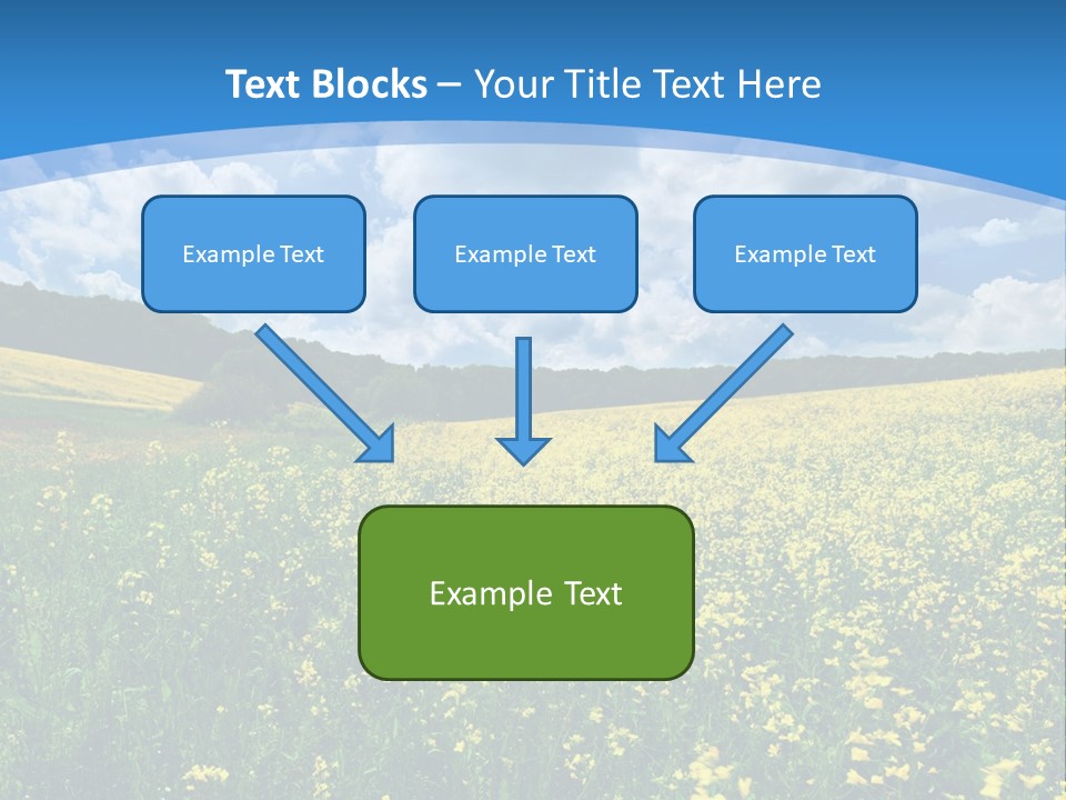 Bloom Colorful Flower PowerPoint Template