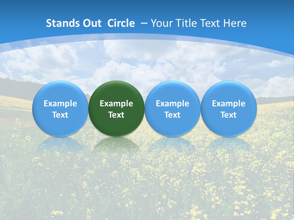 Bloom Colorful Flower PowerPoint Template