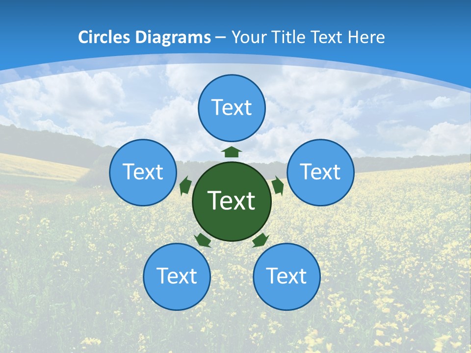 Bloom Colorful Flower PowerPoint Template