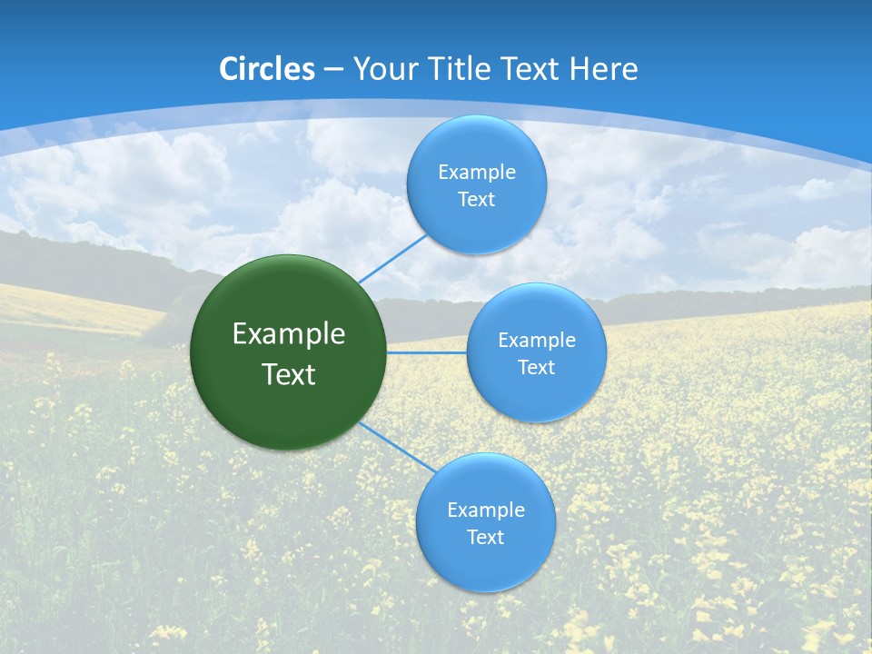 Bloom Colorful Flower PowerPoint Template