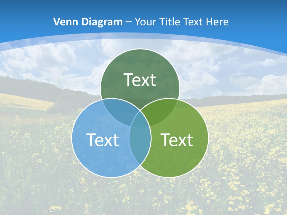 Bloom Colorful Flower PowerPoint Template