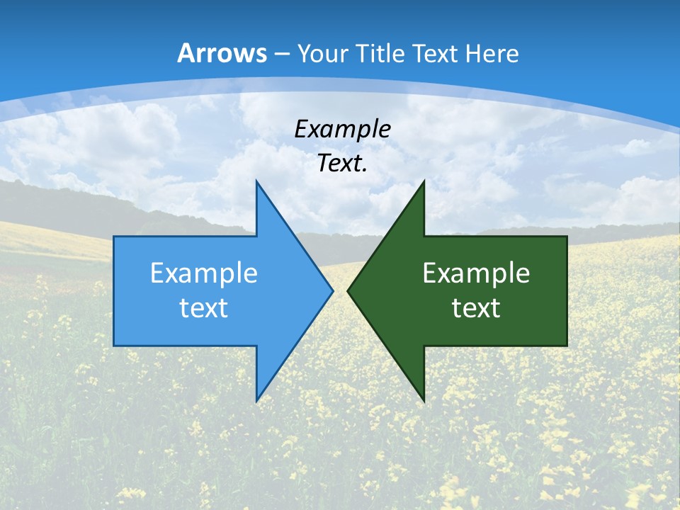 Bloom Colorful Flower PowerPoint Template