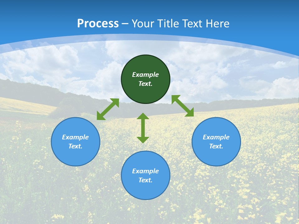 Bloom Colorful Flower PowerPoint Template