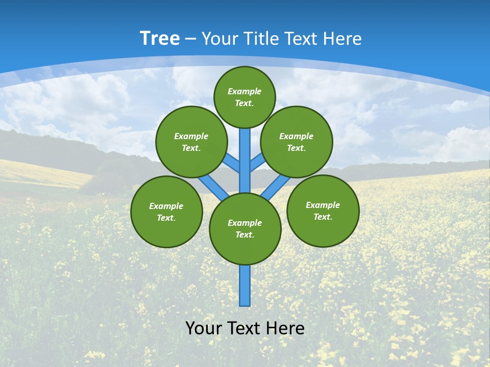 Bloom Colorful Flower PowerPoint Template