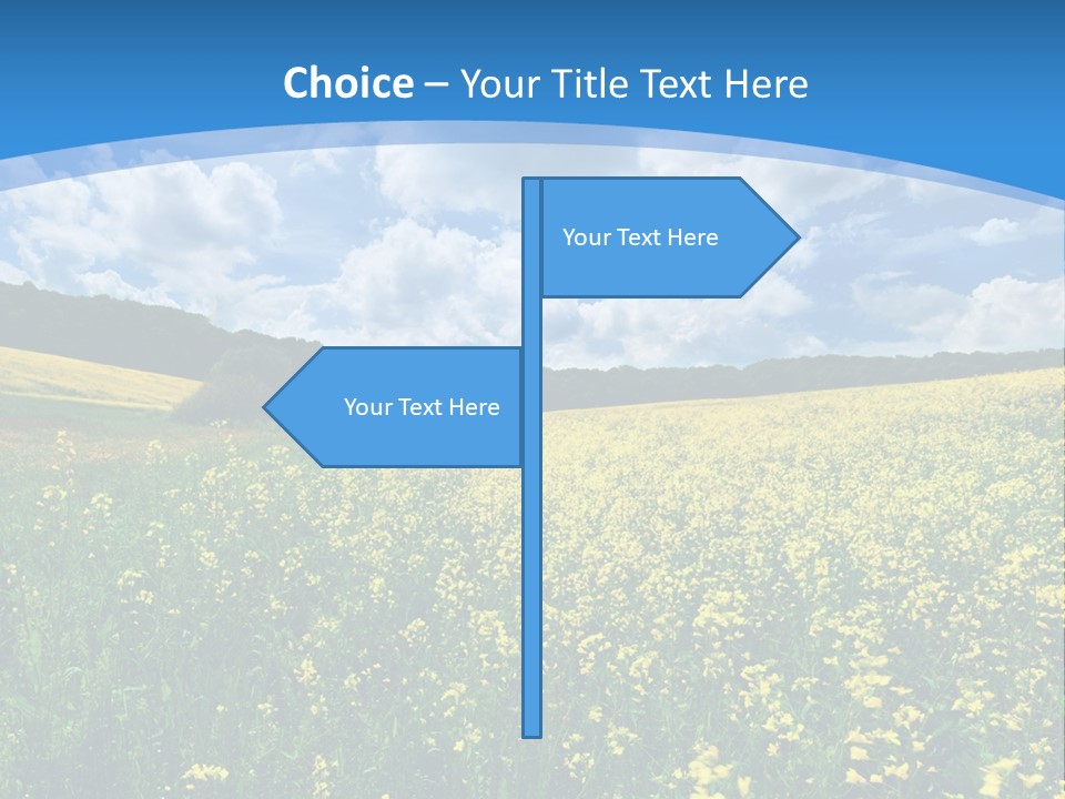 Bloom Colorful Flower PowerPoint Template