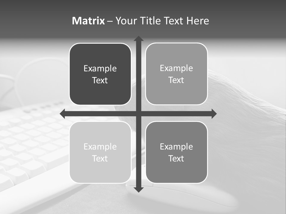 Guinea Pig Keyboard PowerPoint Template