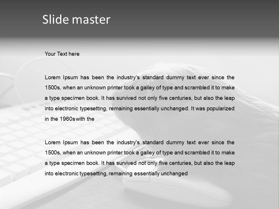 Guinea Pig Keyboard PowerPoint Template