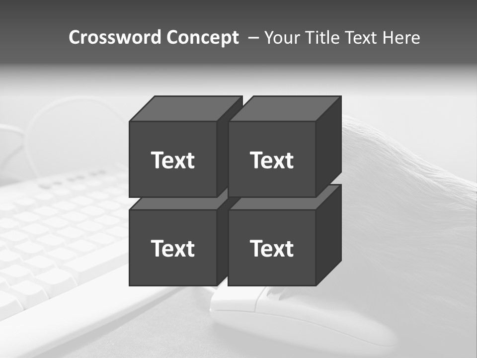 Guinea Pig Keyboard PowerPoint Template