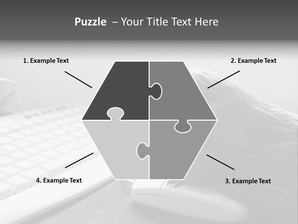 Guinea Pig Keyboard PowerPoint Template