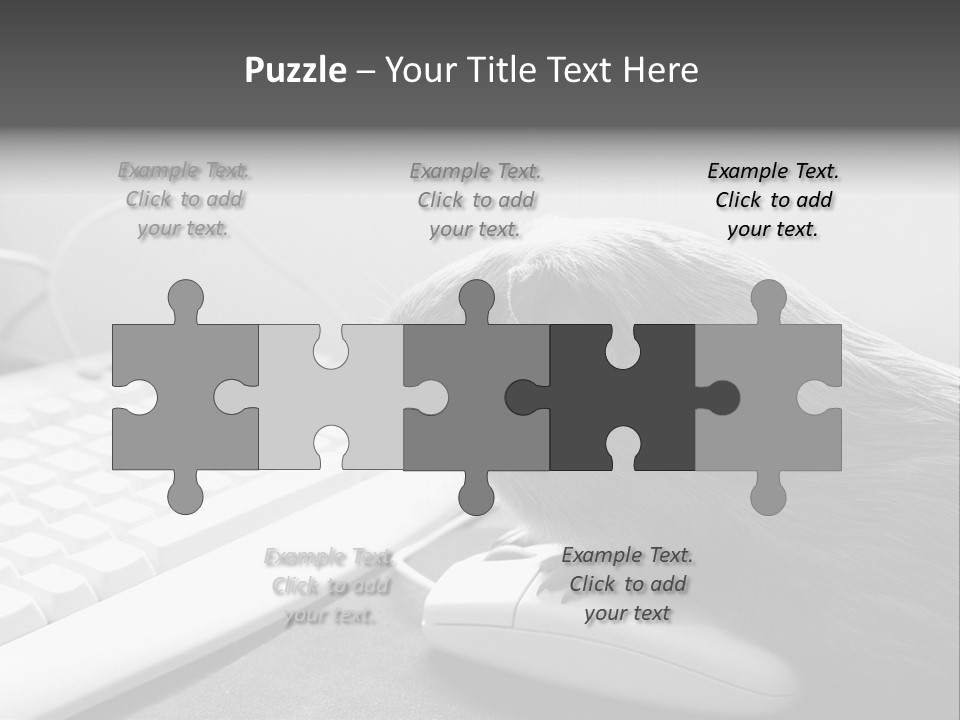 Guinea Pig Keyboard PowerPoint Template