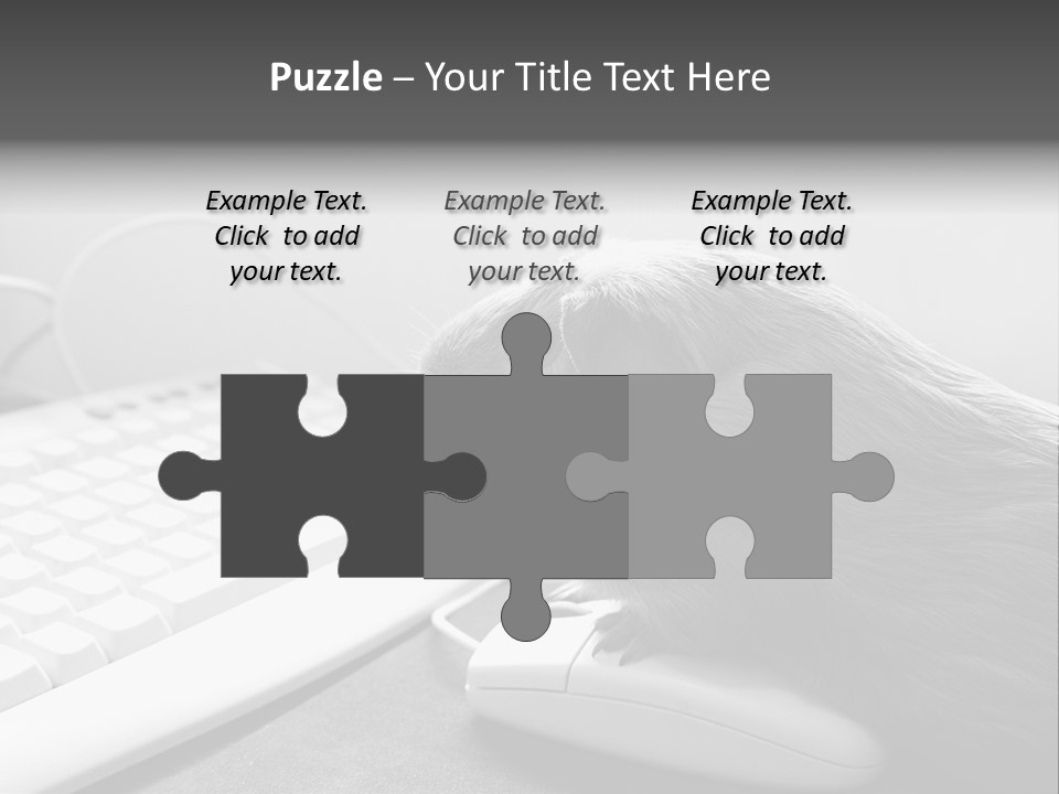 Guinea Pig Keyboard PowerPoint Template