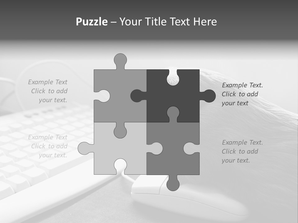 Guinea Pig Keyboard PowerPoint Template