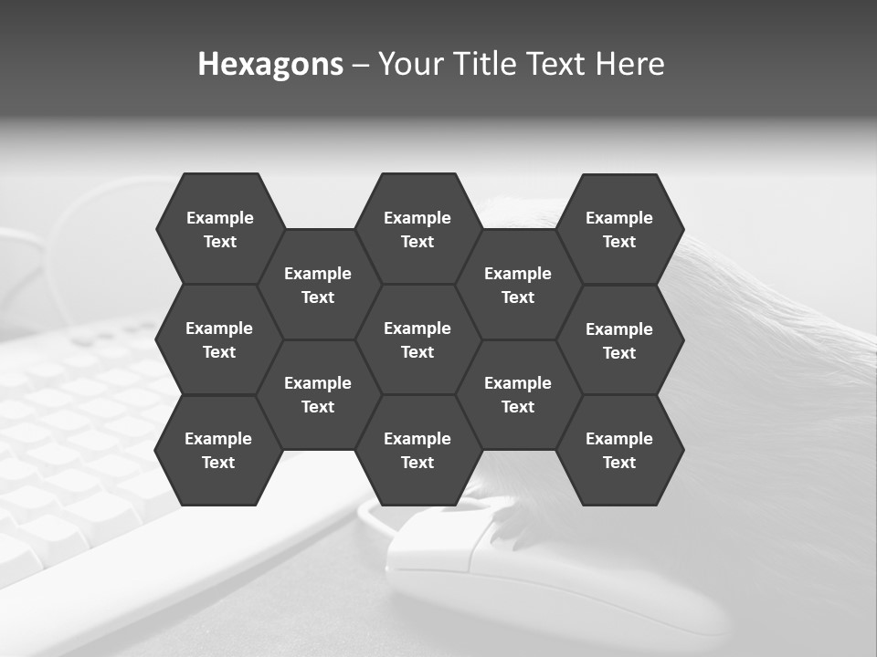 Guinea Pig Keyboard PowerPoint Template