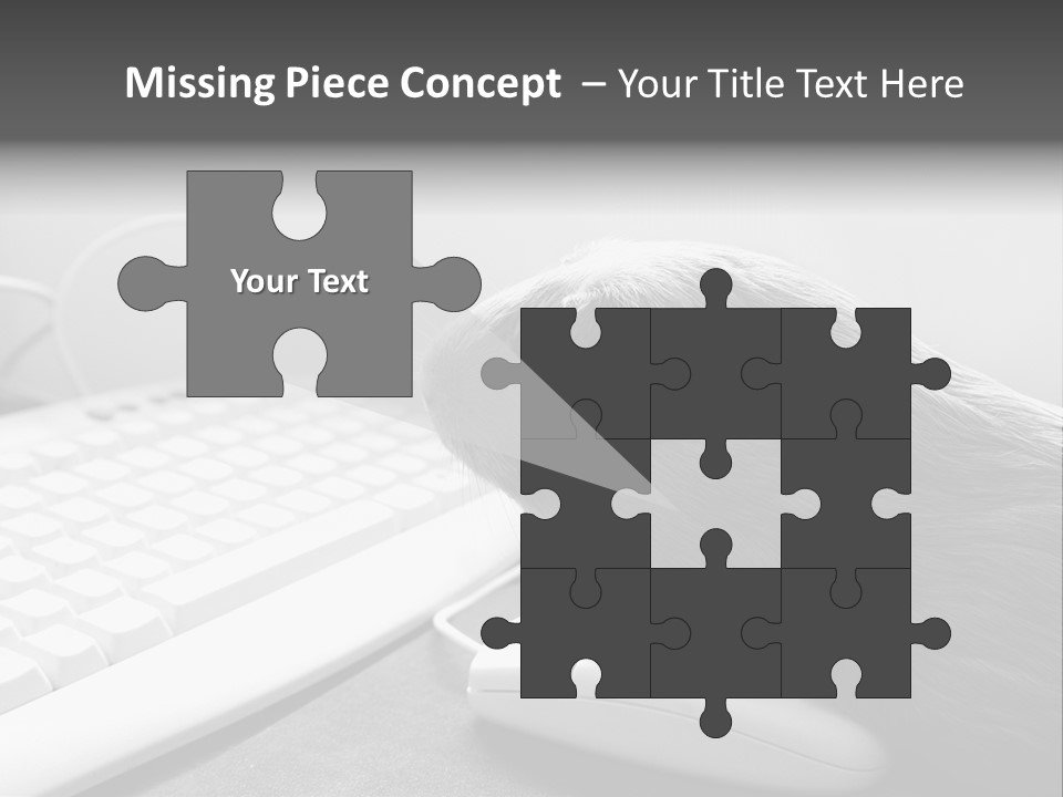 Guinea Pig Keyboard PowerPoint Template