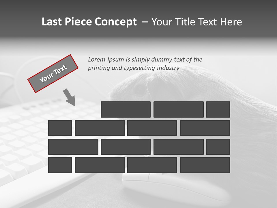 Guinea Pig Keyboard PowerPoint Template