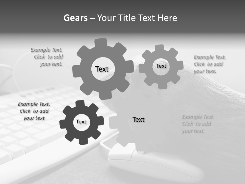 Guinea Pig Keyboard PowerPoint Template