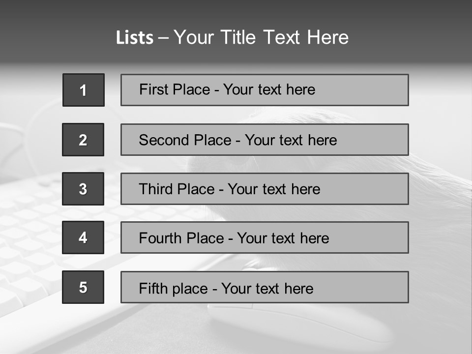 Guinea Pig Keyboard PowerPoint Template