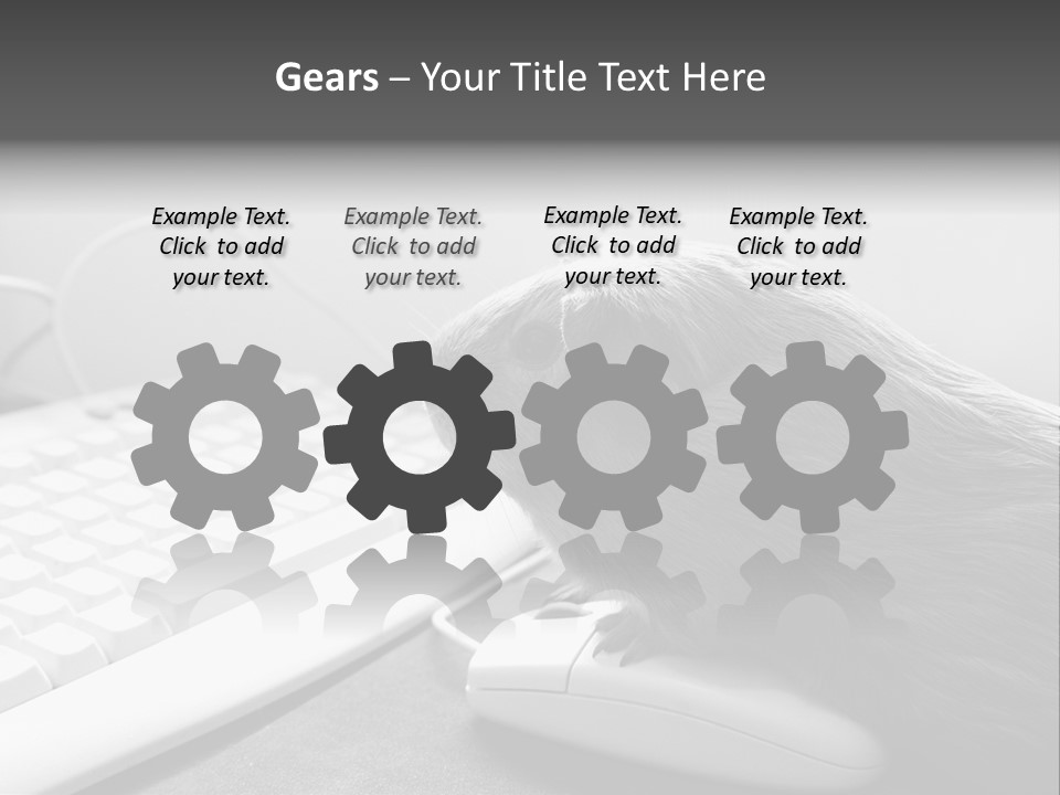 Guinea Pig Keyboard PowerPoint Template