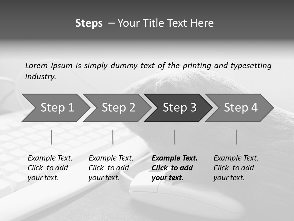 Guinea Pig Keyboard PowerPoint Template