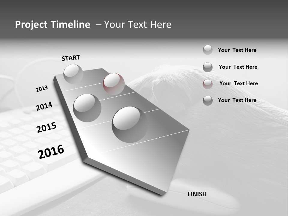 Guinea Pig Keyboard PowerPoint Template