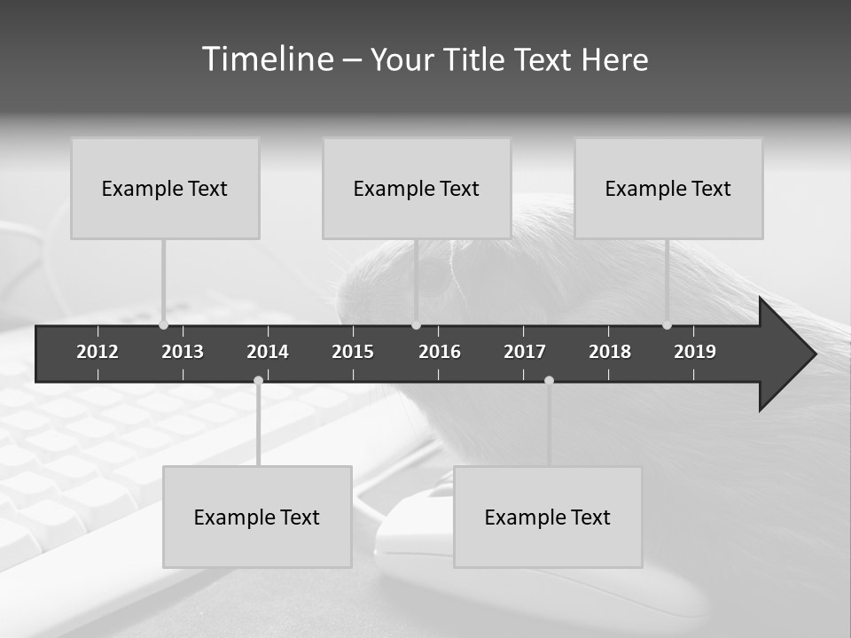 Guinea Pig Keyboard PowerPoint Template
