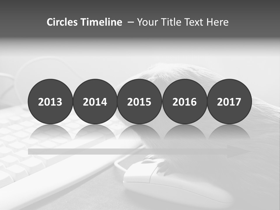 Guinea Pig Keyboard PowerPoint Template