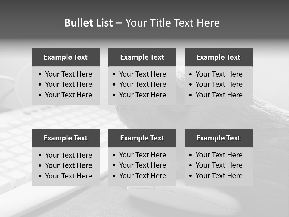 Guinea Pig Keyboard PowerPoint Template