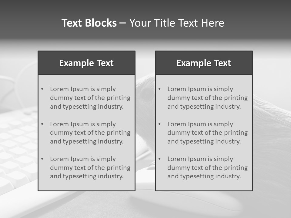 Guinea Pig Keyboard PowerPoint Template