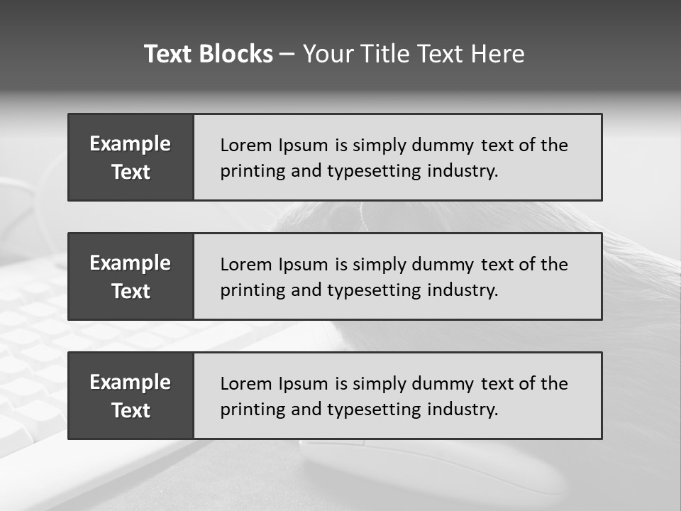 Guinea Pig Keyboard PowerPoint Template