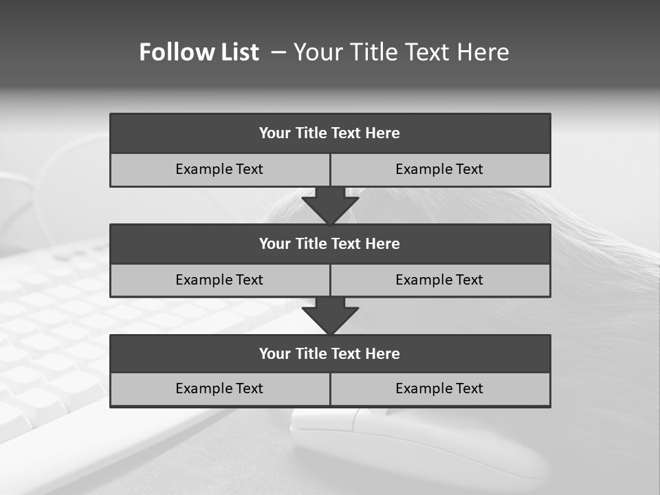 Guinea Pig Keyboard PowerPoint Template