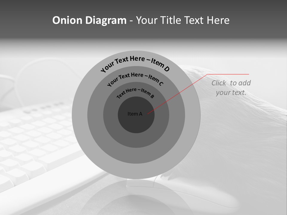 Guinea Pig Keyboard PowerPoint Template