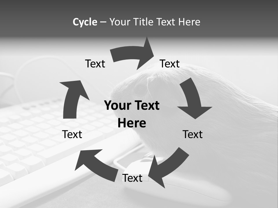 Guinea Pig Keyboard PowerPoint Template