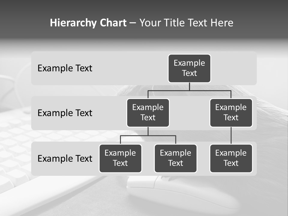 Guinea Pig Keyboard PowerPoint Template
