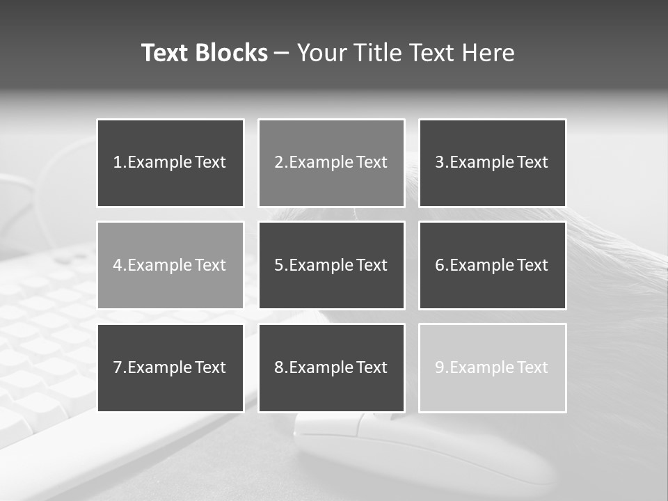 Guinea Pig Keyboard PowerPoint Template