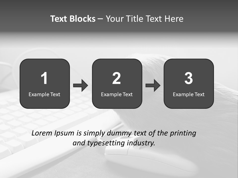 Guinea Pig Keyboard PowerPoint Template