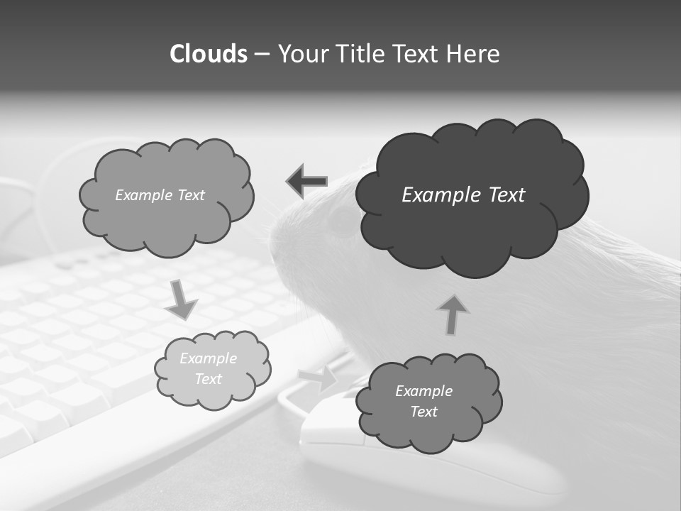 Guinea Pig Keyboard PowerPoint Template